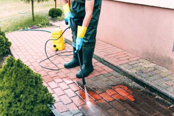Best Driveway Pressure Washing  in Gardena, CA